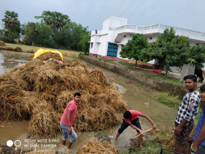 barish